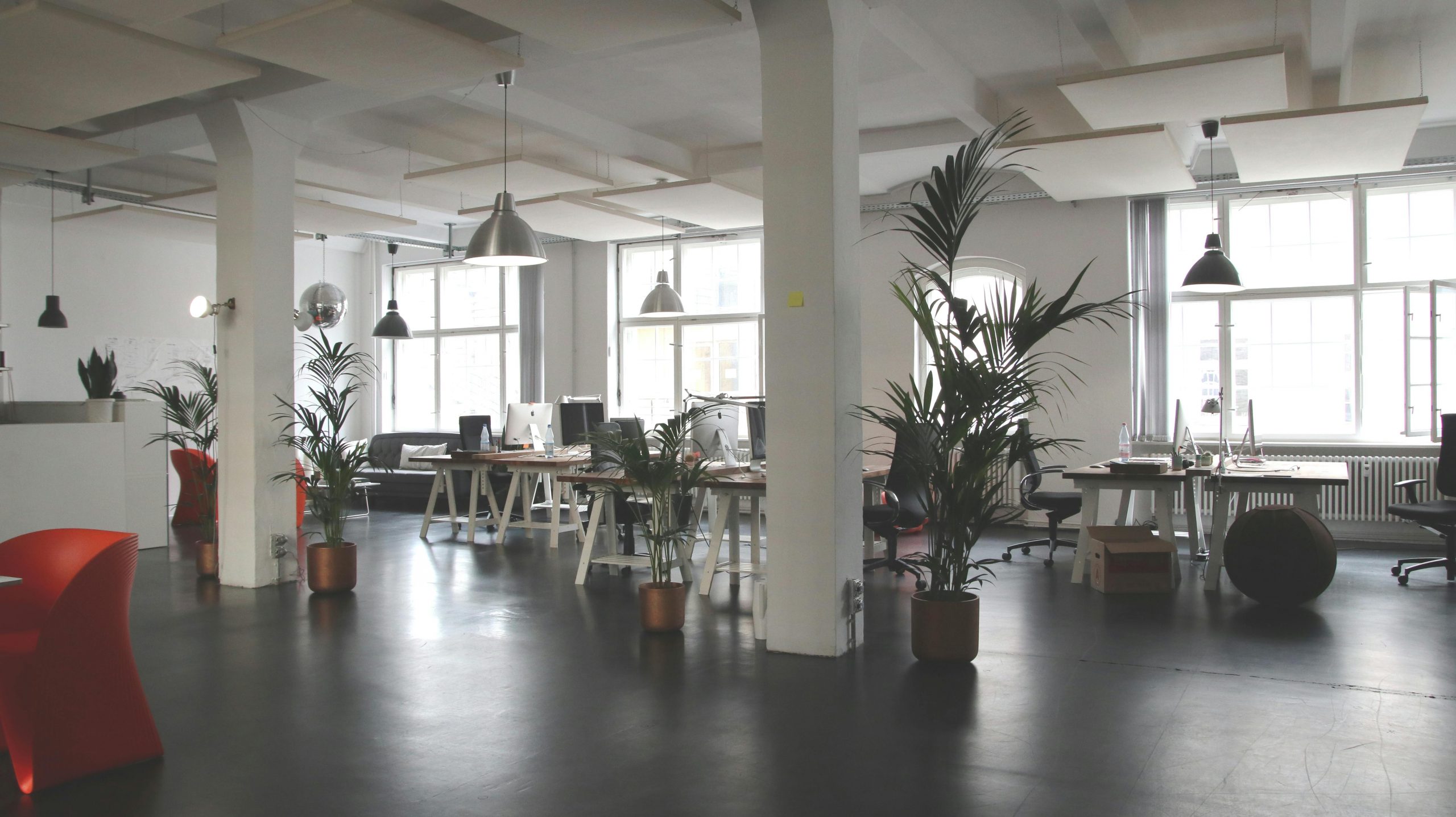 Spacious modern office interior with desks, plants, and natural lighting in Berlin.